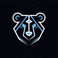 Black Bear Services logo - Similar company to Qds: Quintessence Development Solutions
