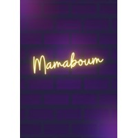 MAMABOUM logo - Similar company to Astro Nova
