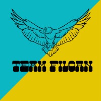 Filcan Consultany logo - Similar company to Techease It Solutions