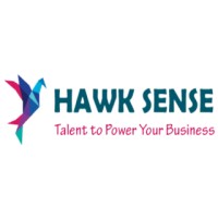 Hawk Sense Security System Pvt Ltd logo - Similar company to Vrdms