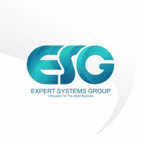 EXPERT SYSTEMS GROUP logo - Similar company to Strategyconsult