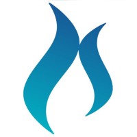 Ignis Digital logo - Similar company to Tempo Certo Soluções