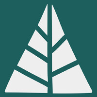 Pinetree logo - Similar company to Zingr Digi Solutions Private Limited