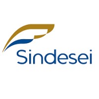 Sindicato das Empresas de Serviços de Informática do DF - SINDESEI/DF logo - Similar company to Assespro-Df