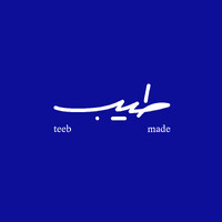 Teeb Made logo - Similar company to Bold Experience