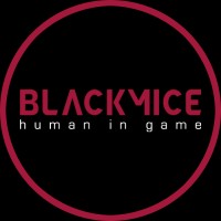 BLACKMICE logo - Similar company to Dragonslash