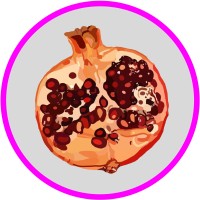 Pomegranate Design Studio logo - Similar company to Truly Human Talent