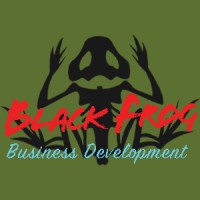 Black Frog Business Development logo - Similar company to Devmethink | Subscription-Based Ux/Ui Solutions