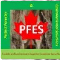 Perfect Forestry And Environmental Solutions (Pfes)