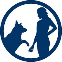 Fetch Please Dog Training
