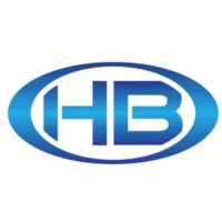HB Global Solutions Development Co.Ltd logo - Similar company to Gombe Peace Project
