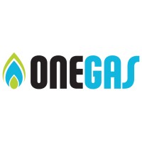 ONEGAS logo - Similar company to Milk Agro