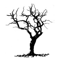 Deadwood Capital logo - Similar company to Caerus Ventures