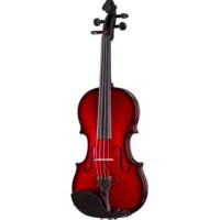Professional Violin Player