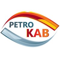 PetroKab LLC logo - Similar company to Fine Systems Technologies
