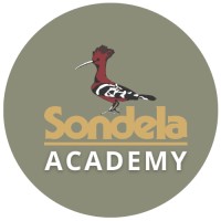 Sondela Academy (South Africa) logo - Similar company to Uniapplyforme