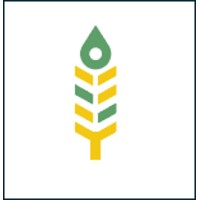 Proxima Grain Technologies