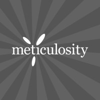 Meticulosity logo - Similar company to Syncnodeai Pvt. Ltd.