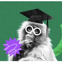 Wallet Monkey logo - Similar company to Careavailability