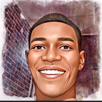 Stanimart logo - Similar company to Nwaneka Caleb