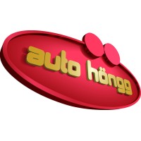 Auto Höngg Belfanti AG logo - Similar company to Alcopa Auction Es