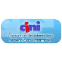 Cini Conosorzio Interuniversitario Nazionale Per L'Informatica