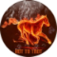 The Marketing Doctors ( A division of Hot To Trot Marketing Group LLP)