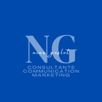 NG CONSULT logo - Similar company to Defence Network