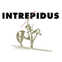 Intrepidus Worldwide logo - Similar company to Gnomer Technology