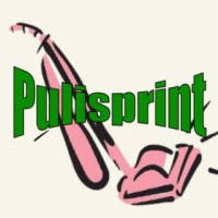 Pulisprint Arezzo logo - Similar company to Osf Engineers