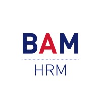 British Academy of Management HRM Special Interest Group logo - Similar company to British Academy Of Management – Continental Network