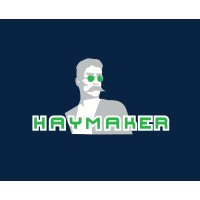 Haymaker Media logo - Similar company to Scale Interactive