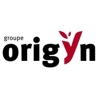 Groupe Origyn logo - Similar company to Exsel Authentic Hotels