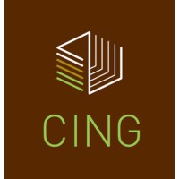 CING Ingeniería Eléctrica Aplicada logo - Similar company to Ingeniería Y Servicios Industriales