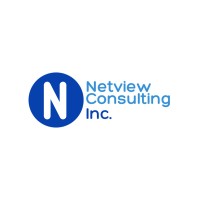 Netview Consulting Inc logo - Similar company to Netview