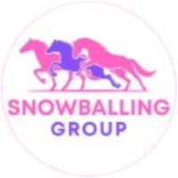 Snowballing Group logo - Similar company to Futurecare Solutions Group, Inc.