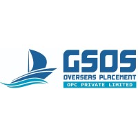 GSOS OVERSEAS PLACEMENT OPC PVT LTD logo - Similar company to Excel International