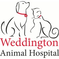 Weddington Animal Hospital logo - Similar company to Md Diagnostic Labs