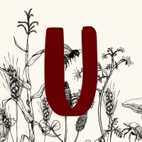 Underground Festival logo - Similar company to Grounded Australia