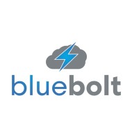Blue Bolt Consulting logo - Similar company to Dîner En Noir Worldwide
