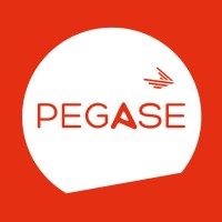 PEGASE logo - Similar company to Ax System