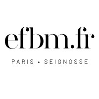 Galerie EFBM logo - Similar company to Complement'Hair