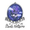Studio Notturno | Cours De Piano À Paris 13