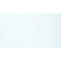 Ryanair Pilot Group logo - Similar company to R & D Electrical Engineering