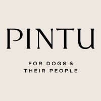 Pintu Design logo - Similar company to Susteam