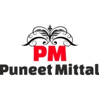 Puneet Mittal Digital Marketing logo - Similar company to Estivasoftech – Ui/Ux Design, Web Development & Marketing Agency
