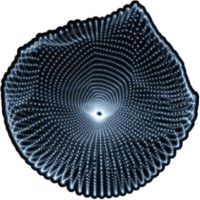 BRIGHT VOID logo - Similar company to Bright Void Interactive