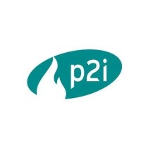 P2i - Sistemas de Protecção Contra Incêndios logo - Similar company to Um Dia Em Segurança