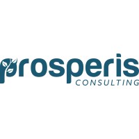 Prosperis Consulting logo - Similar company to Boston Technology Law Pllc