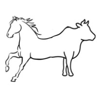 Vetrinox Capital Partners logo - Similar company to Sigma Equine Llc